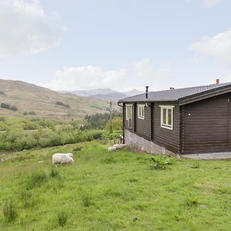 카나번 Snowdon Vista Cabin 빌라 외부 사진