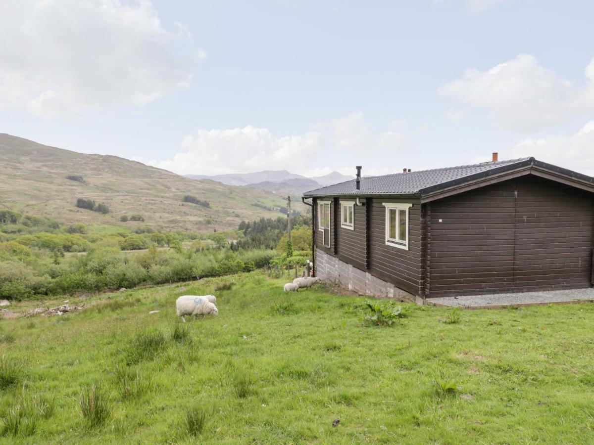 카나번 Snowdon Vista Cabin 빌라 외부 사진