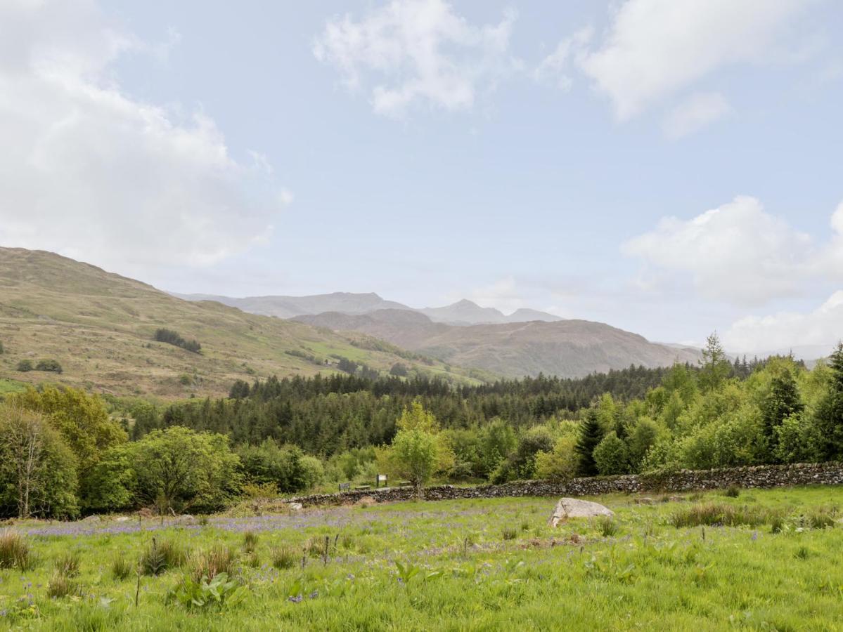 카나번 Snowdon Vista Cabin 빌라 외부 사진